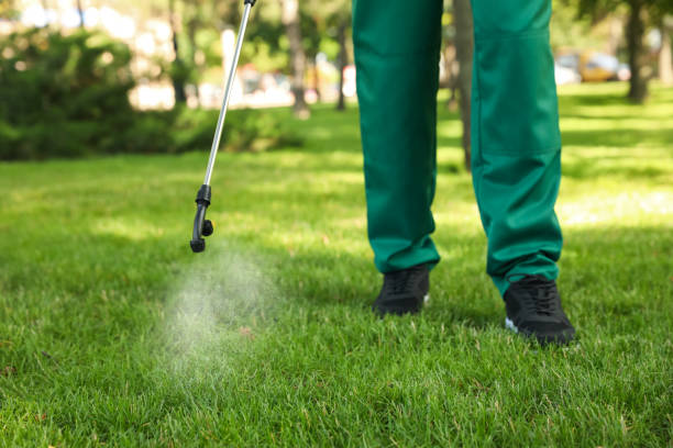Best Ant Control Services  in Newberry, FL