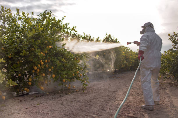Newberry, FL Pest Control Company