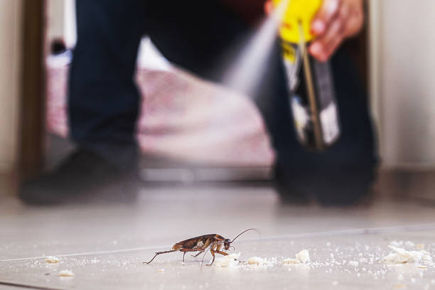 Best Wildlife Control Services  in Newberry, FL